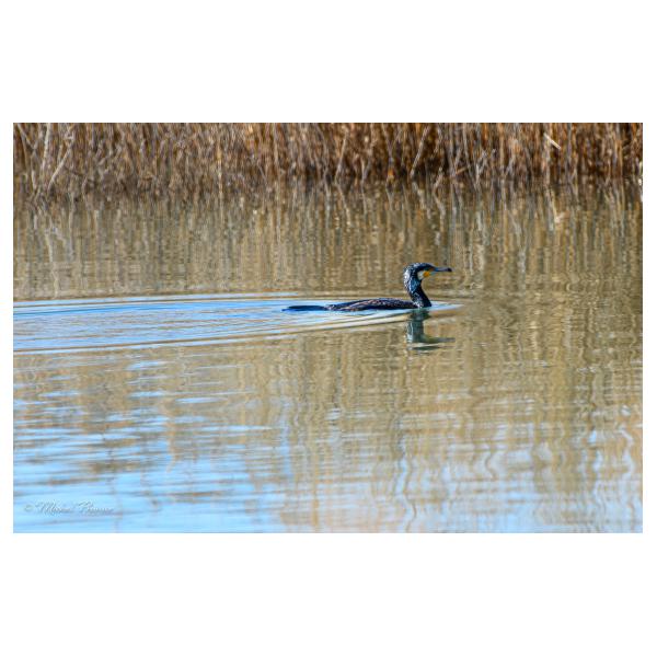 PHOTO84, CLUB, 84 , LUBERON